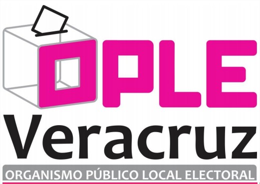 Mosaico Electoral Mexicano